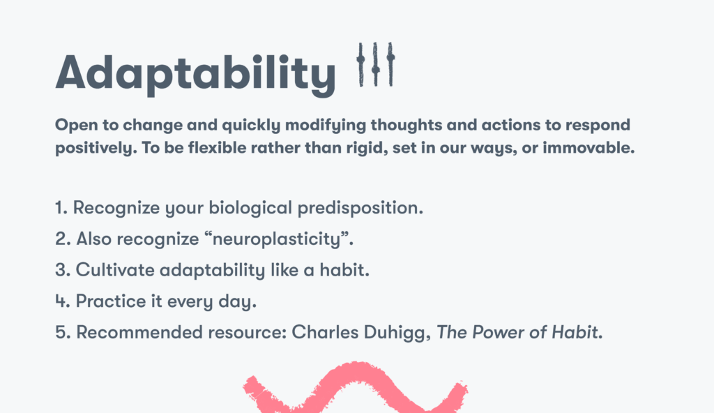 Customer service skill 12 adaptability